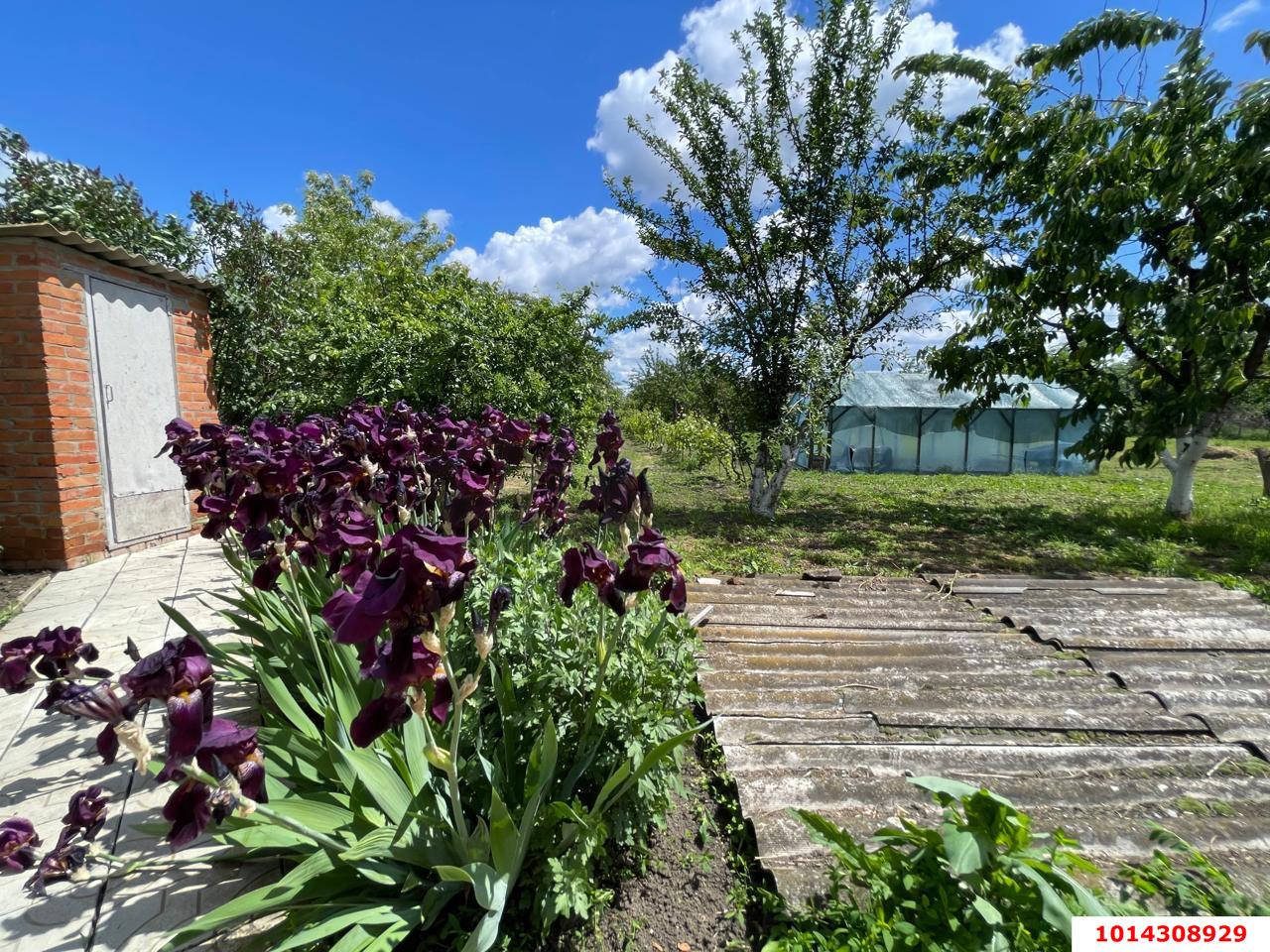 Фото №7: Дом 70 м² + 20 сот. - Великовечное, ул. Пионерская, 33