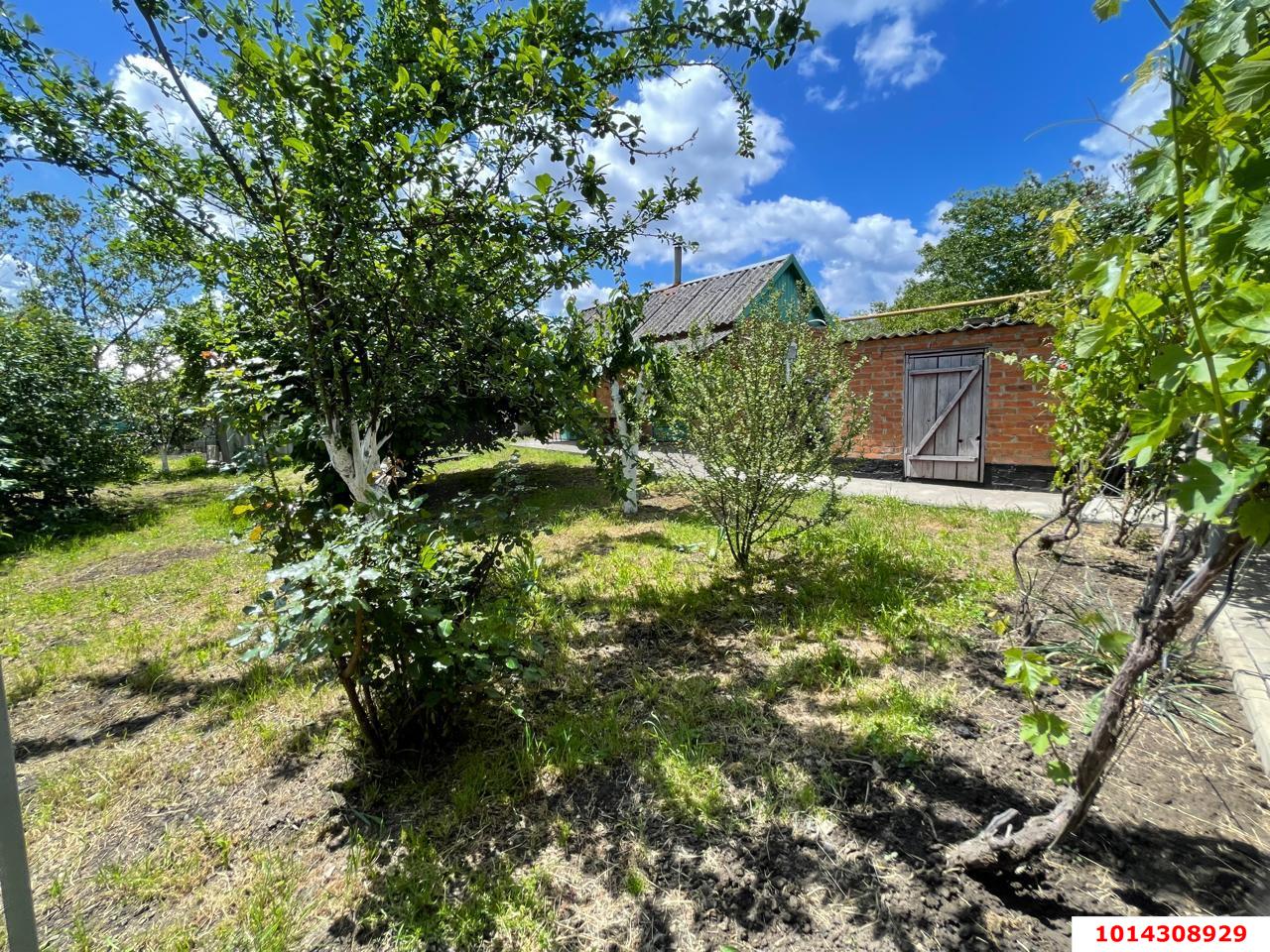 Фото №6: Дом 70 м² + 20 сот. - Великовечное, ул. Пионерская, 33