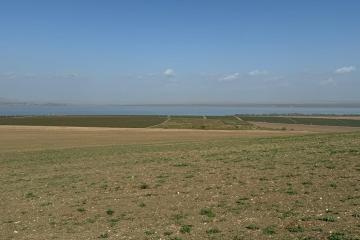 Фото №1: Земельный участок 5 сот. - Веселовка, ул. Тенистая, 23