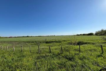 Фото №4: Земельный участок 300 сот. - Афипсип, 