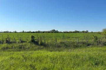 Фото №1: Участок садоводство 300 сот. - Афипсип, 