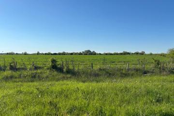 Фото №1: Земельный участок 300 сот. - Афипсип, 