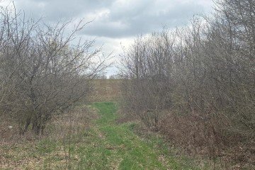 Фото №4: Коммерческая земля 2004 сот. - Смоленская, 