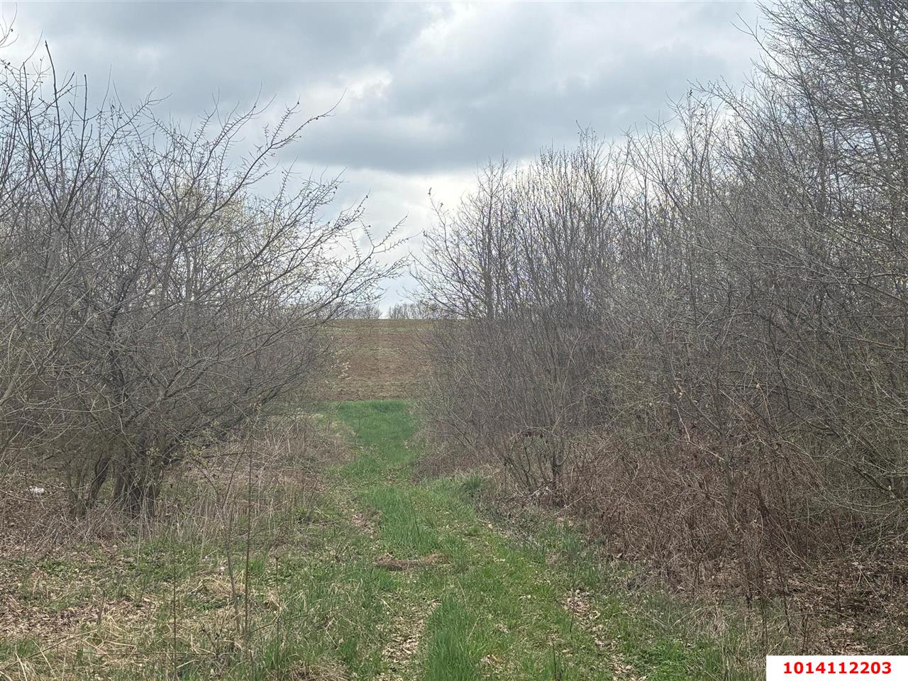 Фото №4: Коммерческая земля 2004 сот. - Смоленская