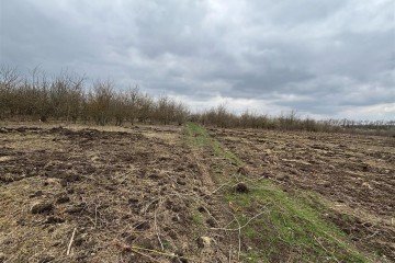 Фото №2: Коммерческая земля 2004 сот. - Смоленская, 