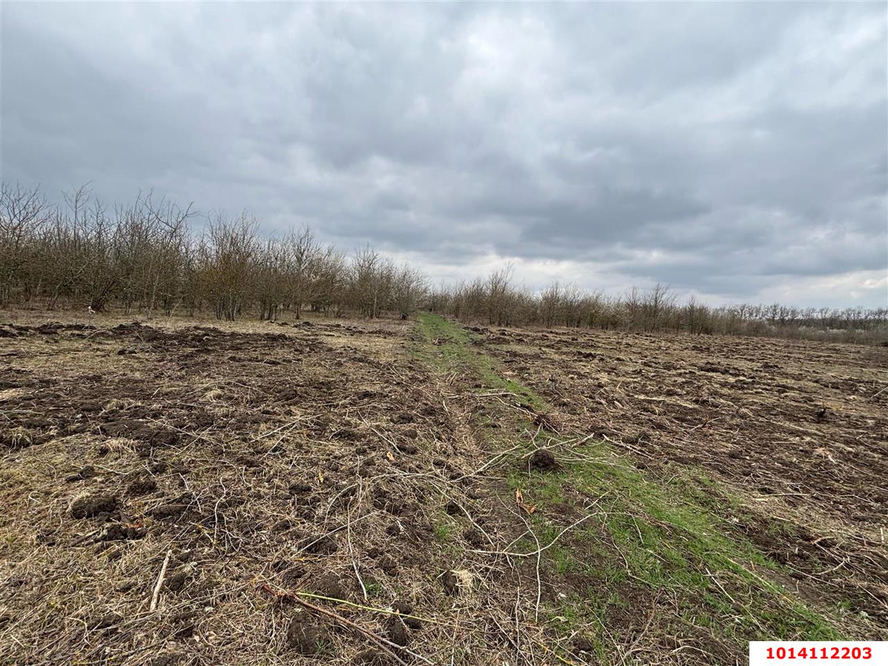 Фото №2: Коммерческая земля 2004 сот. - Смоленская