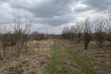 Фото №3: Коммерческая земля 2004 сот. - Смоленская, 