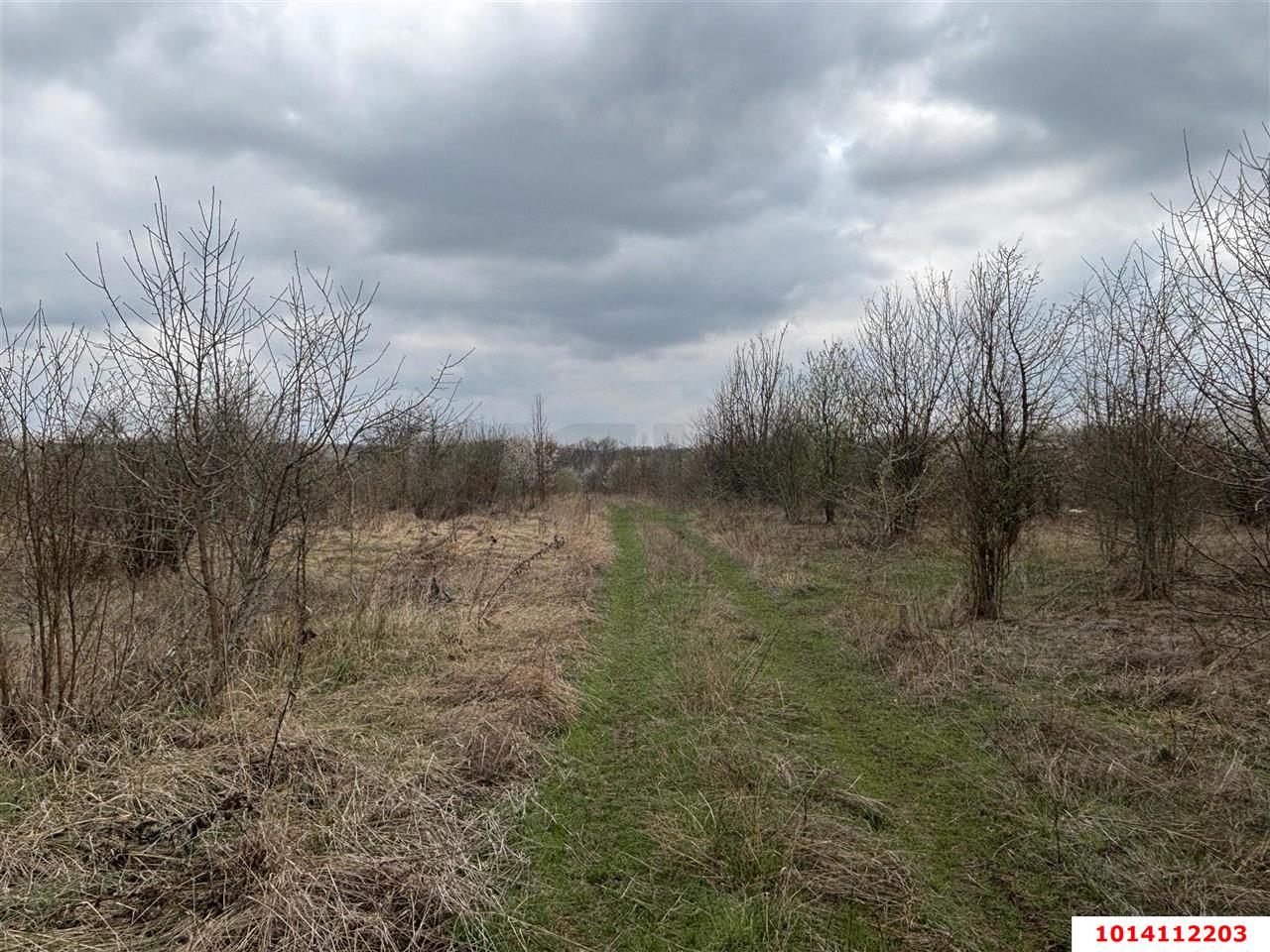 Фото №3: Коммерческая земля 2004 сот. - Смоленская