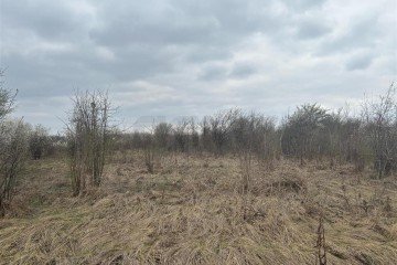 Фото №5: Коммерческая земля 2004 сот. - Смоленская, 