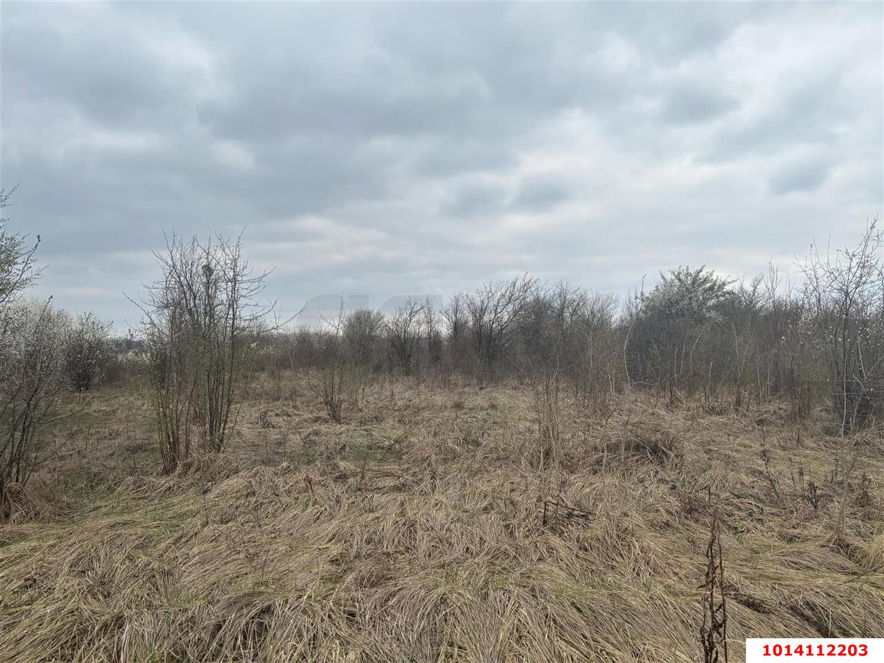 Фото №5: Коммерческая земля 2004 сот. - Смоленская