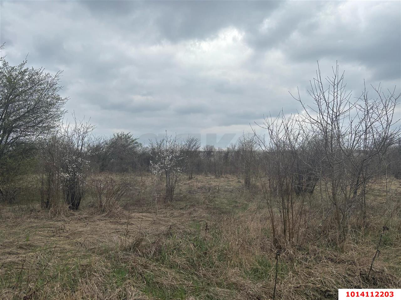 Фото №6: Коммерческая земля 2004 сот. - Смоленская