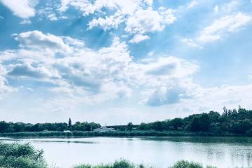 Фото №2: Коммерция 10 м² - садово- Адыгея, 1004