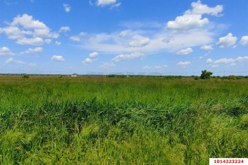 Фото №1: Коммерческая земля 10 сот. - садово- Адыгея, 1004