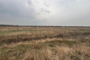 Фото №3: Коммерческая земля 364 сот. - Крымск, 