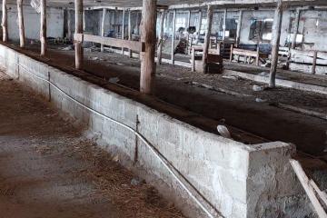 Фото №3: Коммерция 1560 м² - Краснодарский край Северский район