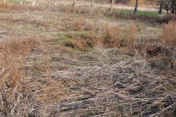 Фото №2: Коммерция 1560 м² - Краснодарский край Северский район