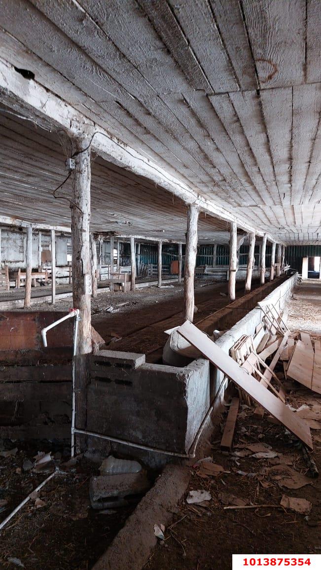 Фото №5: Отдельное здание 1561 м² - Краснодарский край Северский район