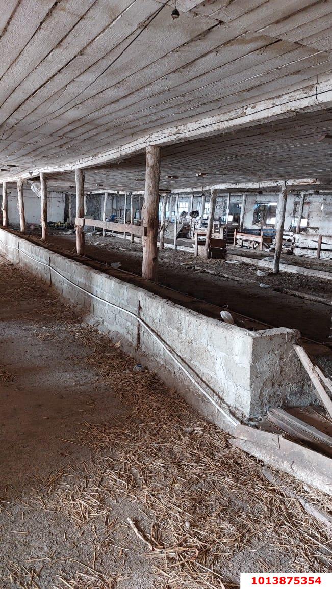 Фото №3: Отдельное здание 1561 м² - Краснодарский край Северский район