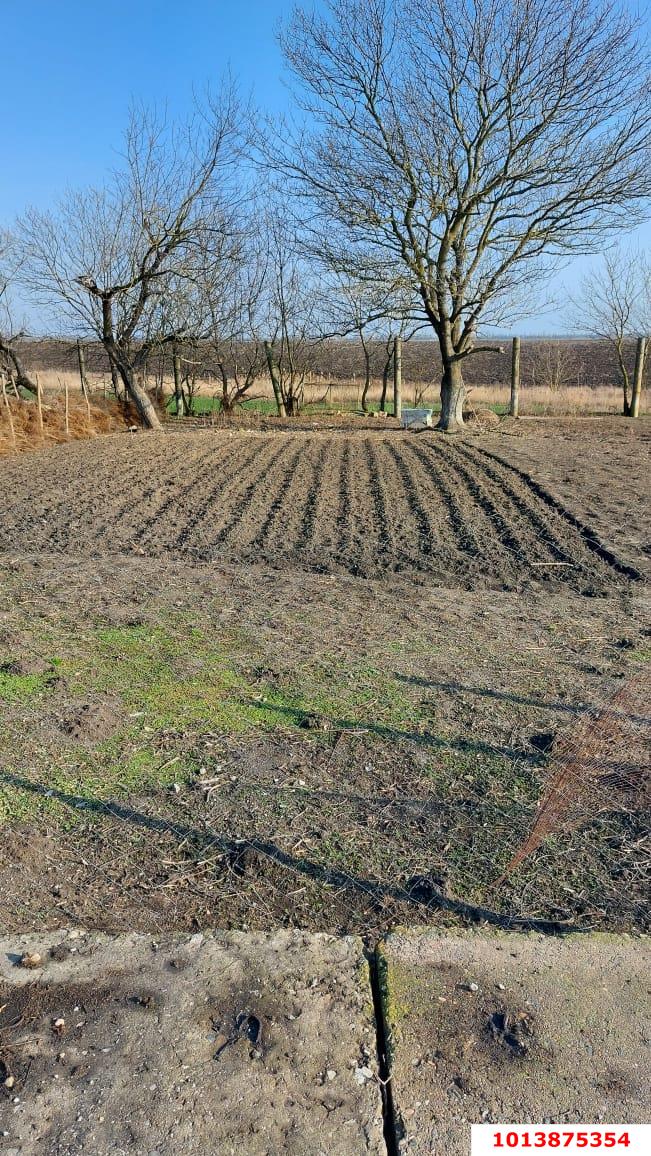 Фото №4: Коммерция 1560 м² - Краснодарский край Северский район