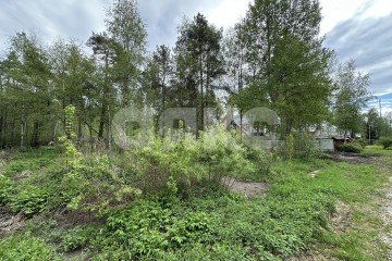 Фото №3: Личное подсобное хозяйство - Ильинский, ул. Краснознамённая, 66