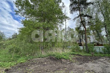 Фото №1: Личное подсобное хозяйство - Ильинский, ул. Краснознамённая, 66