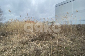 Фото №2: Земельный участок под ИЖС - Кореновск, мкр. 1-й квартал, ул. Фрунзе