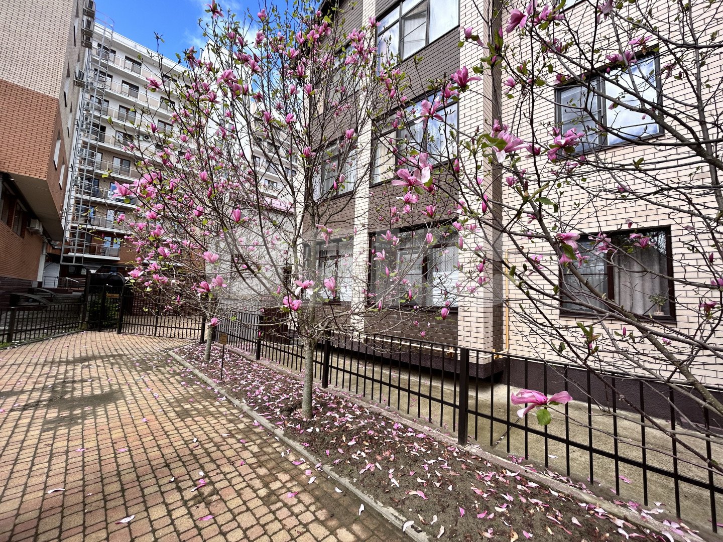 Фото №27: 3-комнатная квартира 92 м² - Горячий Ключ, Курортная Зона, ул. Ленина, 1