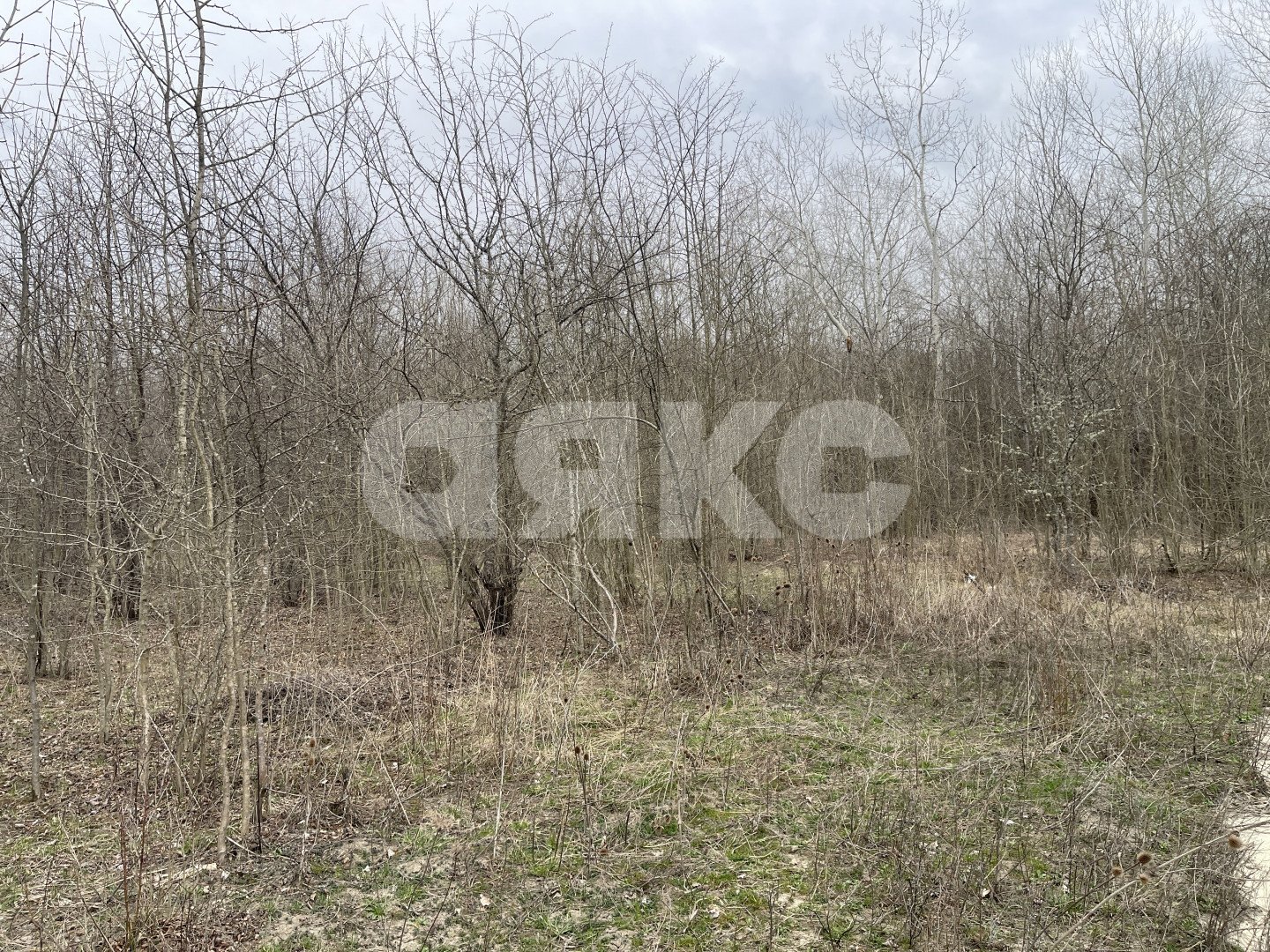 Фото №16: Земельный участок под ИЖС 6 сот. - Саратовская, 4-й, ул. Виноградная