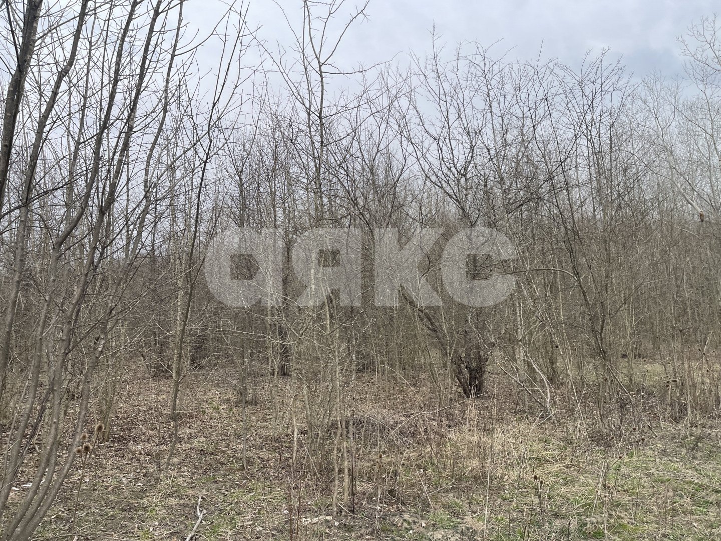 Фото №13: Земельный участок под ИЖС 6 сот. - Саратовская, 4-й, ул. Виноградная