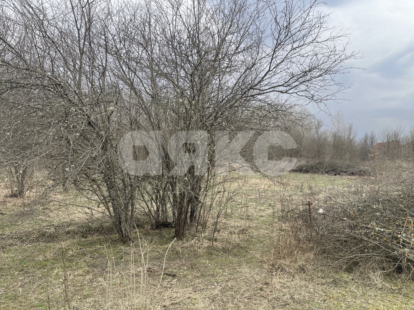 Фото №15: Земельный участок под ИЖС 6 сот. - Саратовская, 4-й, ул. Виноградная