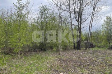 Фото №5: Земельный участок под ИЖС - Саратовская, мкр. 4-й, ул. Виноградная