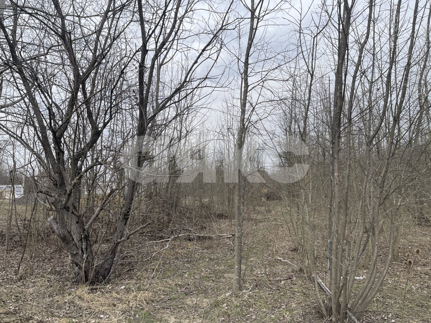 Фото №17: Земельный участок под ИЖС 6 сот. - Саратовская, 4-й, ул. Виноградная