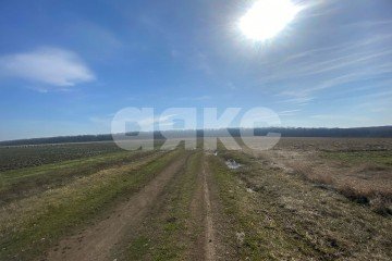 Фото №4: Коммерческая земля - Пролетарский, 