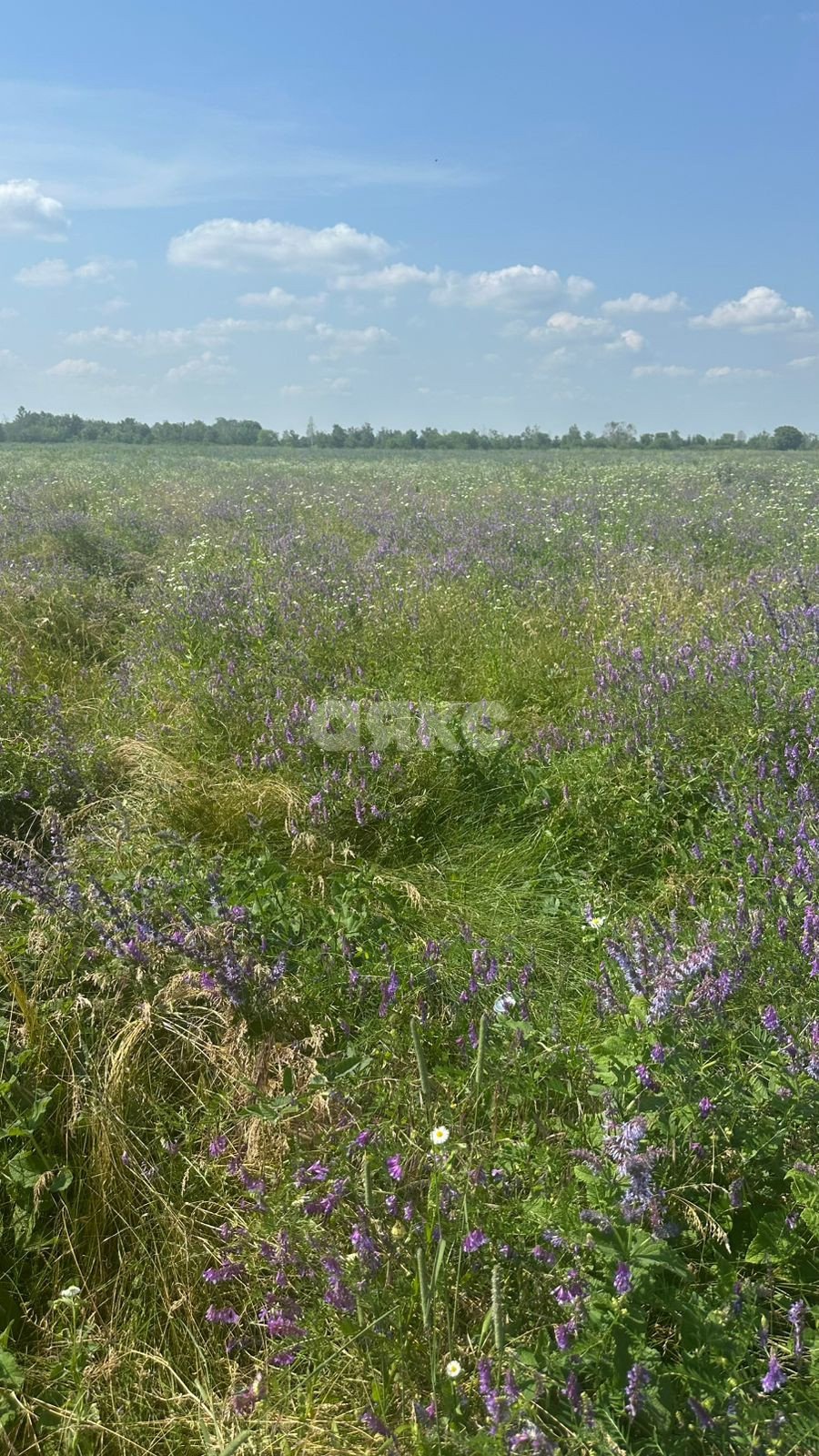 Фото №1: Земельный участок под ИЖС 6 сот. - Майкоп, Аэродрома, 