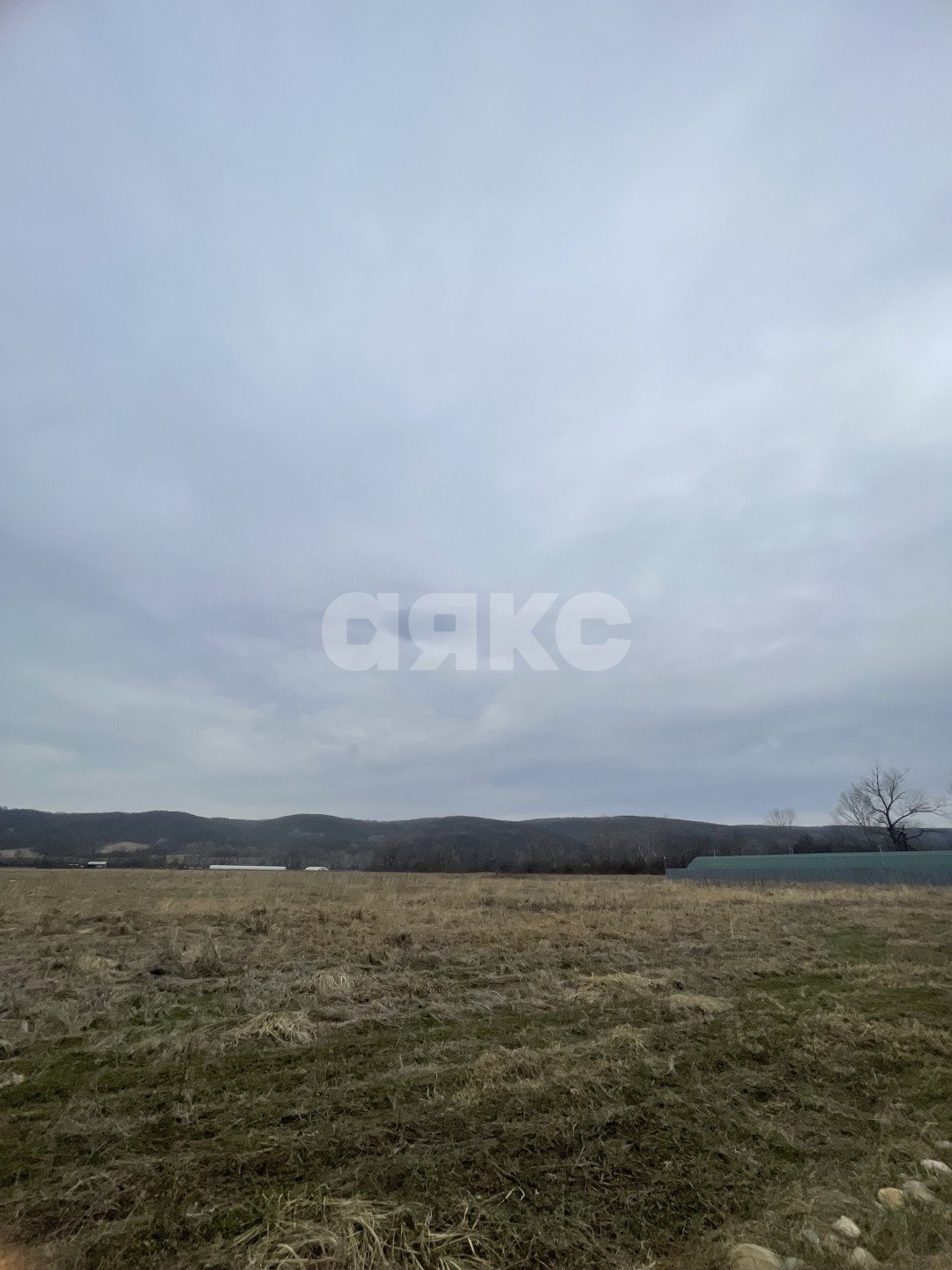 Фото №6: Коммерческая земля 91 сот. - Удобный, ул. Пограничная