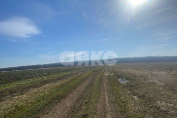 Фото №4: Коммерция 1500 м² - Пролетарский, ул. Школьная
