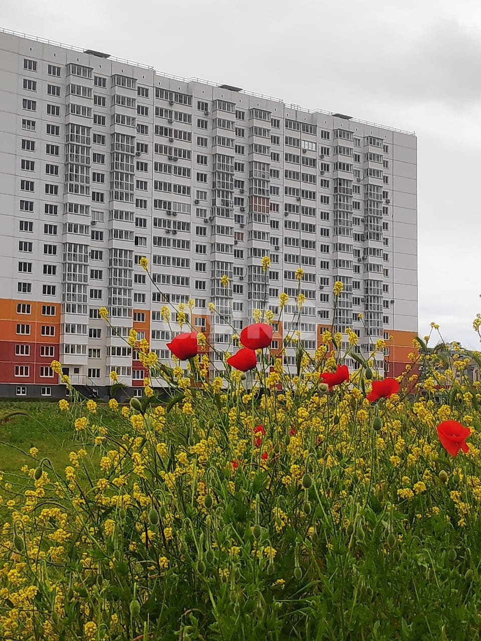 Фото №24: 2-комнатная квартира 72 м² - Анапа, жилой комплекс Горгиппия Морская, ул. Адмирала Пустошкина, 16