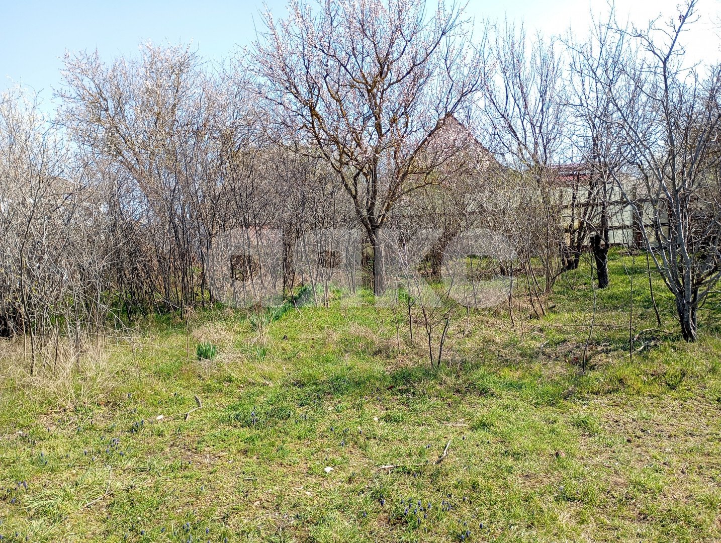 Фото №10: Участок садоводство 5 сот. - СОТ Строитель, ул. Крымская, 3