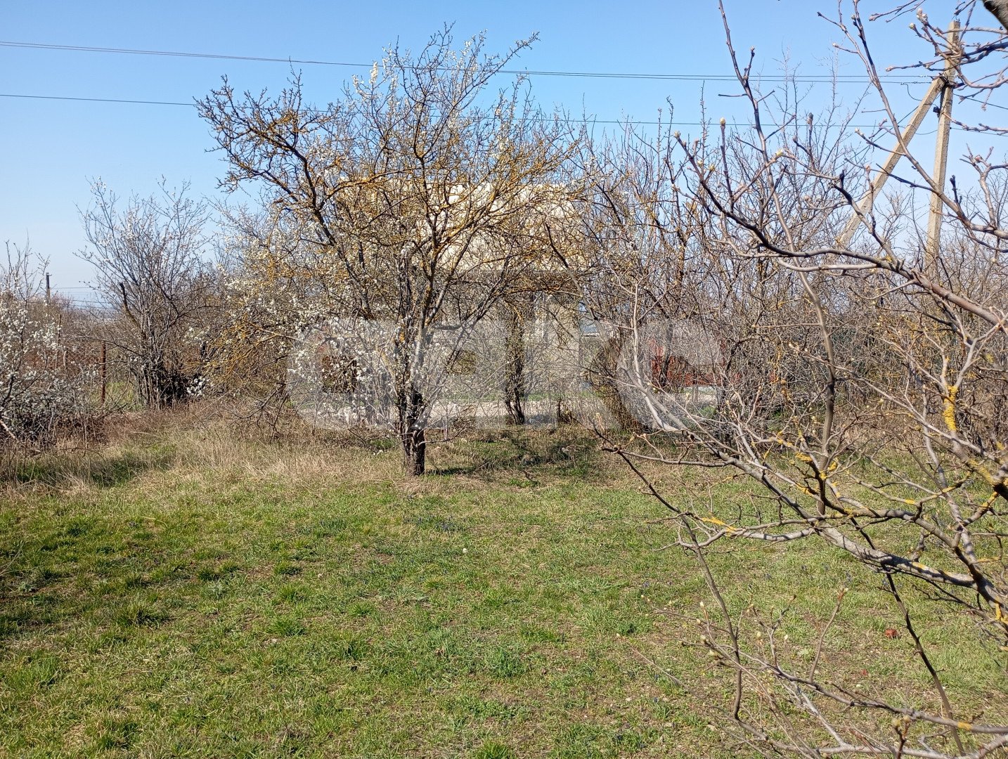 Фото №4: Участок садоводство 5 сот. - СОТ Строитель, ул. Крымская, 3
