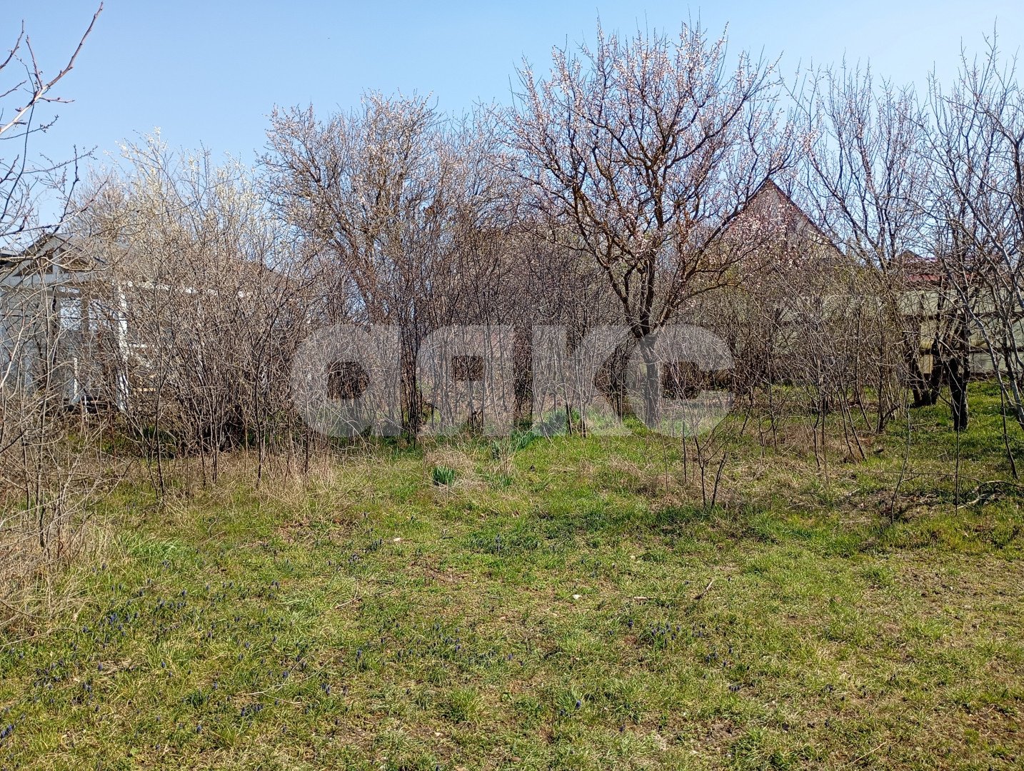 Фото №6: Участок садоводство 5 сот. - СОТ Строитель, ул. Крымская, 3