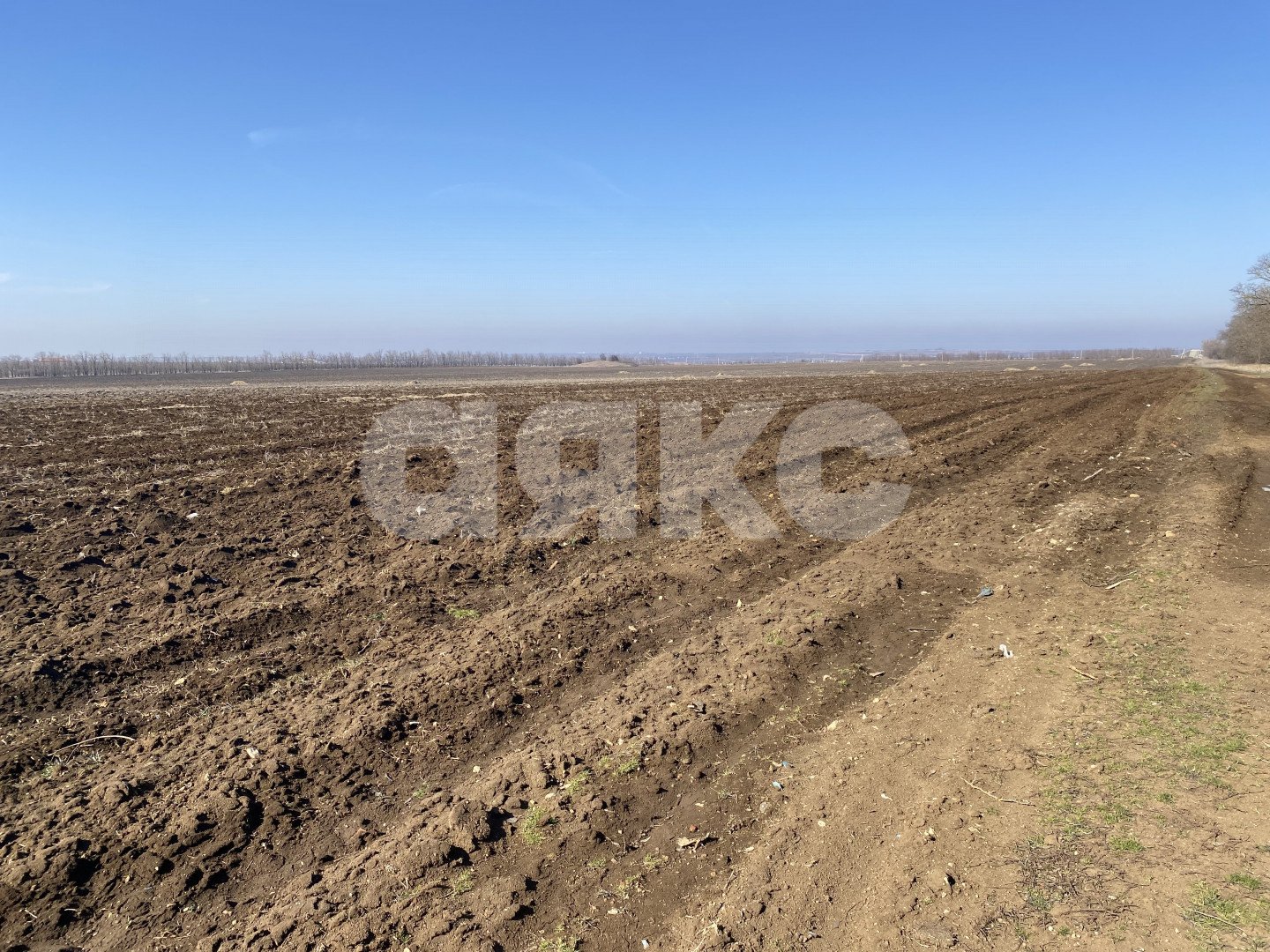 Фото №5: Коммерческая земля 2 сот. - Краснодарский край муниципальный округ Анапа