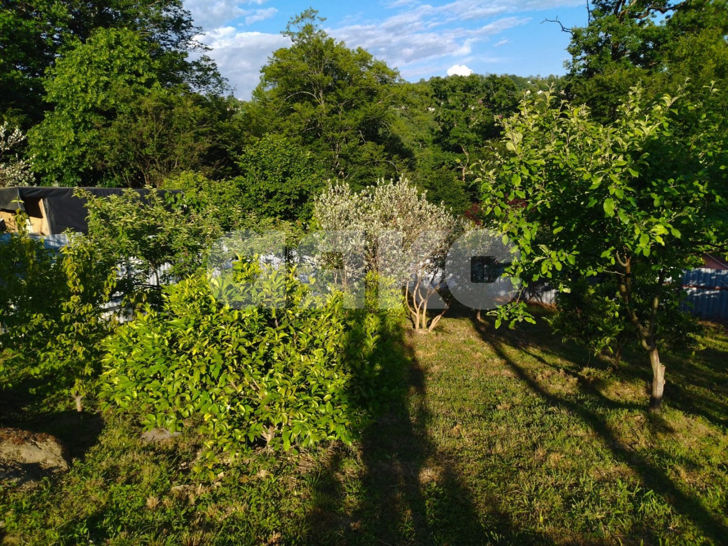 Фото №9: Участок садоводство 5.2 сот. - Бестужевское, Адлерский, ул. Пастушечья