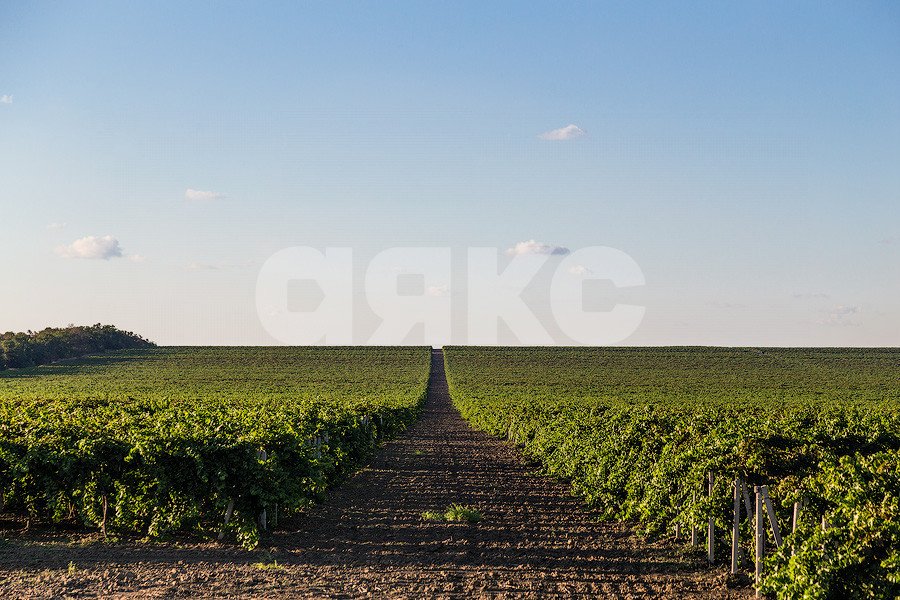 Фото №27: Дом 109 м² + 25.41 сот. - Ахтанизовская, ул. Степная, 22