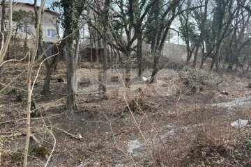 Фото №4: Участок садоводство - садовое некоммерческое товарищество Маяк, 135