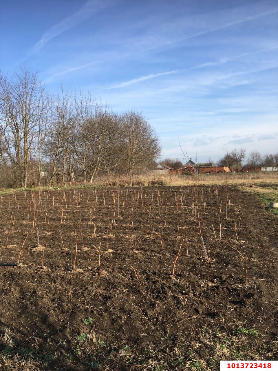 Фото №6: Дом 43 м² + 44.5 сот. - Львовское, ул. Школьная, 41