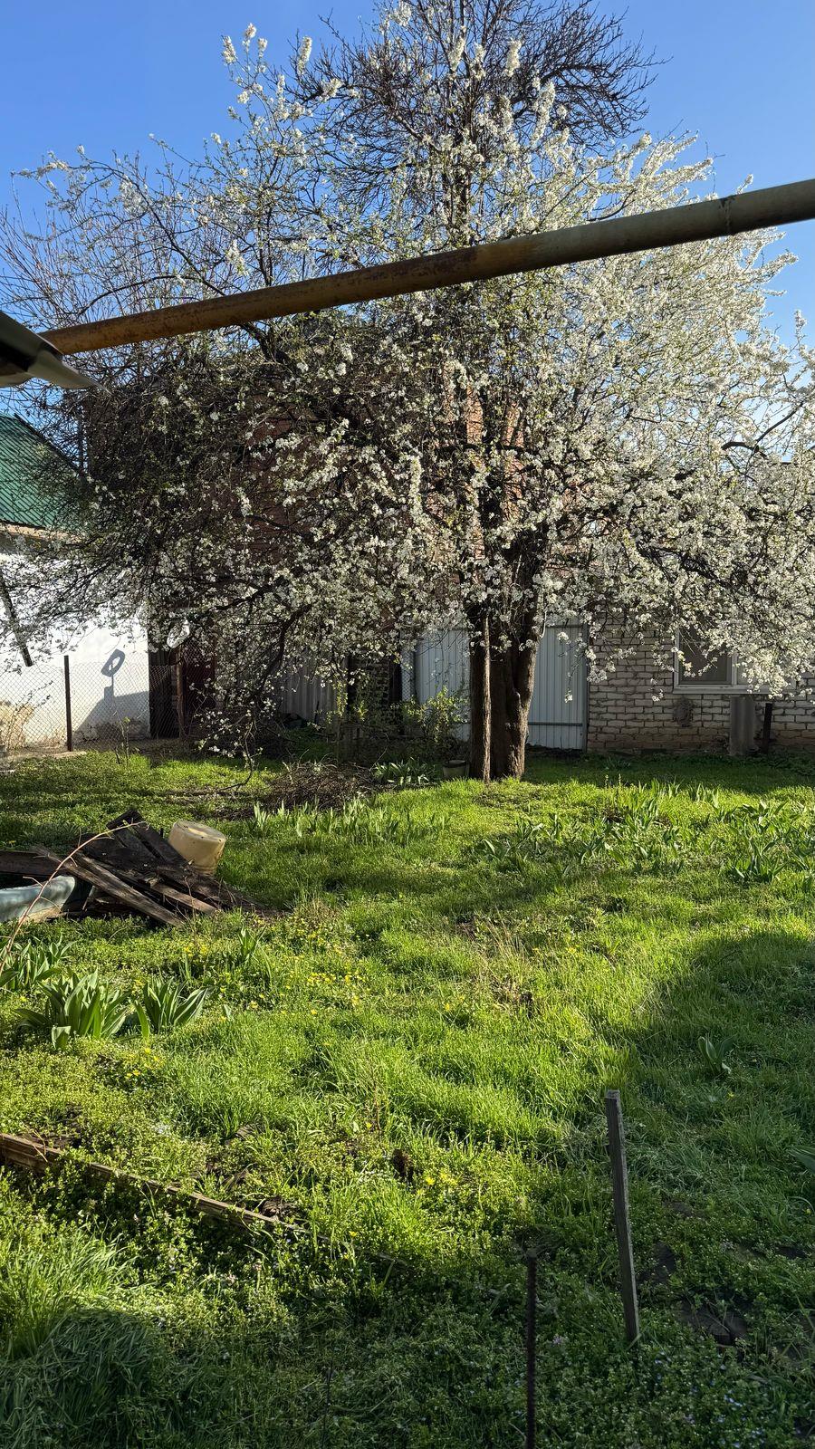 Фото №4: Дом <span class="whitespace-nowrap">80 м²</span> <span class="whitespace-nowrap">+ 6.7 сот.</span> - Краснодар, Центральный внутригородской округ, мкр. Центральный, ул. Промышленная, 80
