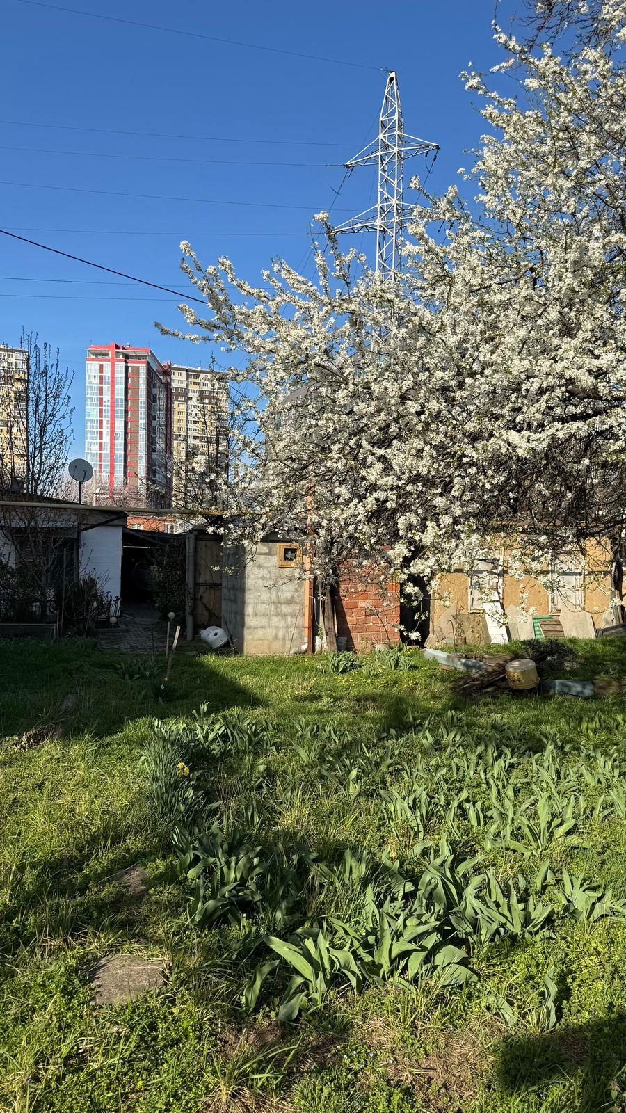 Фото №8: Дом <span class="whitespace-nowrap">80 м²</span> <span class="whitespace-nowrap">+ 6.7 сот.</span> - Краснодар, Центральный внутригородской округ, мкр. Центральный, ул. Промышленная, 80