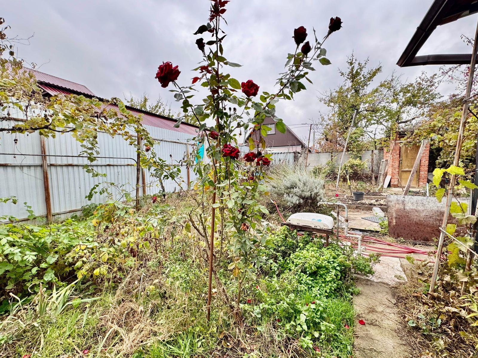 Фото №3: Земельный участок 4.84 сот. - Краснодар, Прикубанский внутригородской округ, мкр. 2-я Площадка, ул. Ивана Сусанина, 44