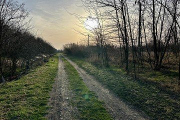 Фото №5: Участок садоводство 9.2 сот. - Янтарь, мкр. Карасунский внутригородской округ, ул. Северная, 5