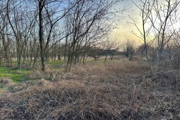 Фото №4: Земельный участок 9.2 сот. - Янтарь, мкр. Карасунский внутригородской округ, ул. Северная, 5